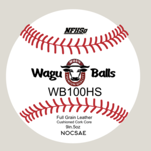 WB100 HS Prime