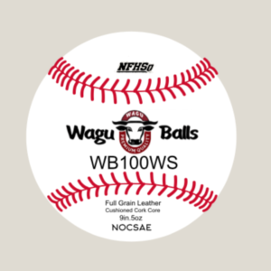 WB100 WS