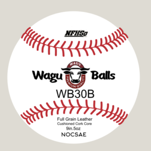 WB30 B