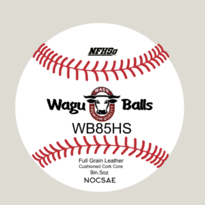 WB85 HS