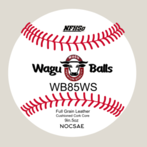 WB85 WS