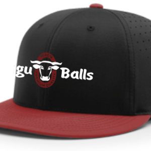 WB Hat